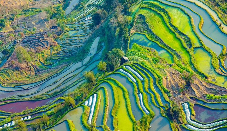 黄埔区产品视频拍摄